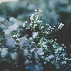 小🐔🐔伸进🈲🔞梅花十三
